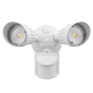 LED Security Light